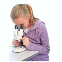 Usb микроскоп для ребенка
