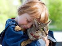 Домашние животные для деток: когда покупать и кого лучше?