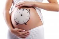Калькулятор беременности или как развивается ваш будущий малыш