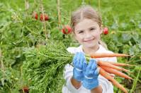 Экологически чистая еда для детей или выращиваем овощи и фрукты собственноручно
