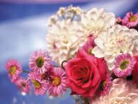 Живые свежие цветы в доме или как продлить жизнь срезанным цветам